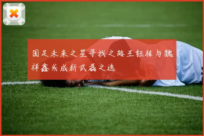 国足未来之星寻找之路王钰栋与魏祥鑫或成新武磊之选