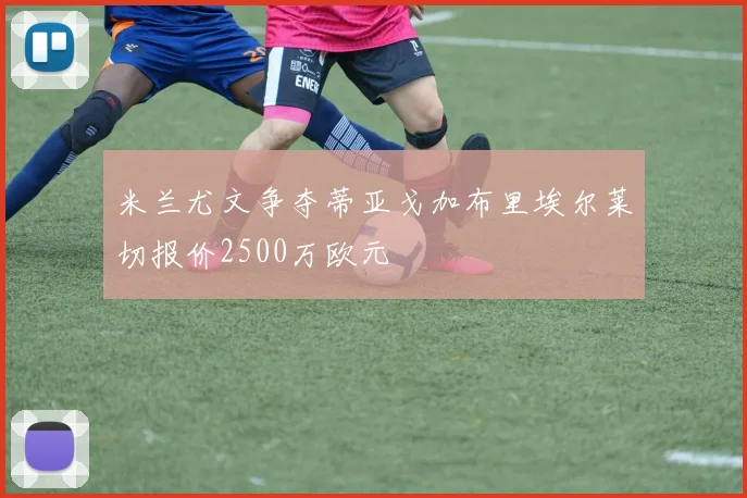米兰尤文争夺蒂亚戈加布里埃尔莱切报价2500万欧元